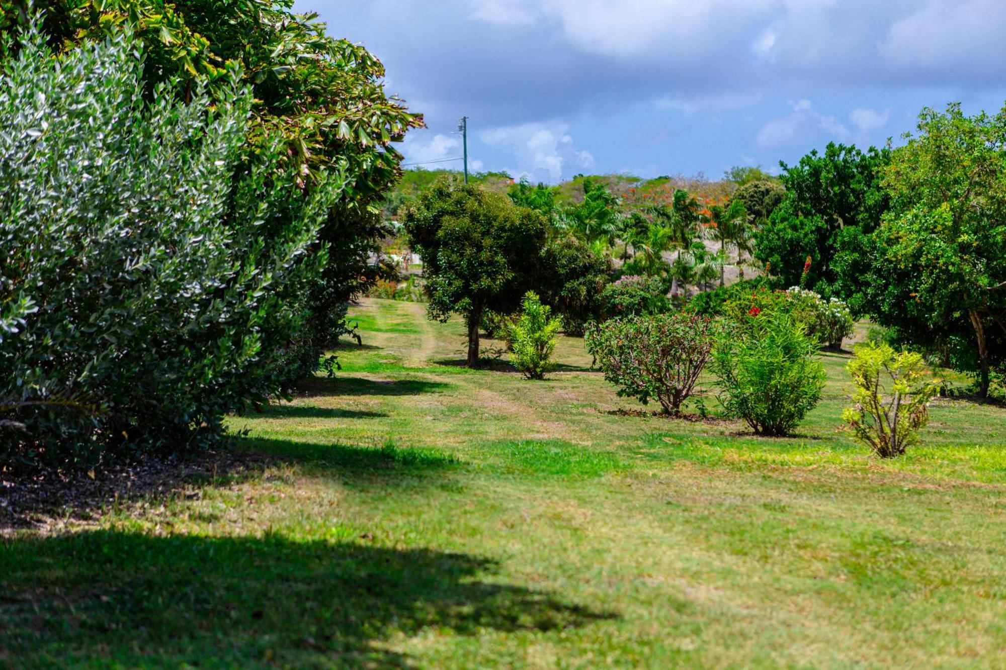 Hotel Escape At Nonsuch Bay Antigua (Adults Only) à Gaynors Extérieur photo