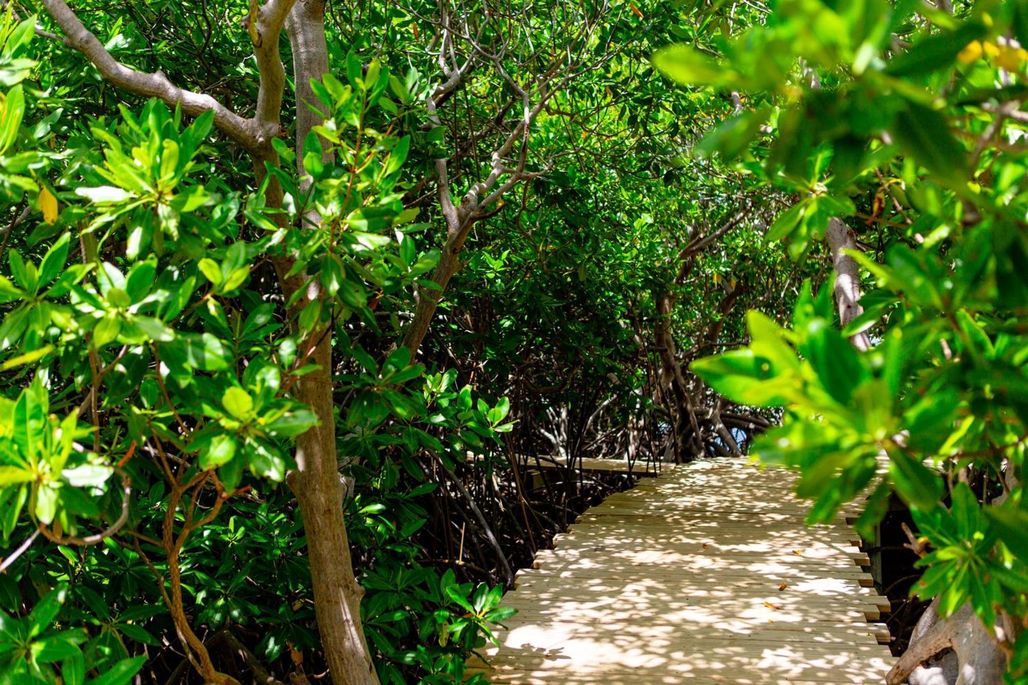 Hotel Escape At Nonsuch Bay Antigua (Adults Only) à Gaynors Extérieur photo